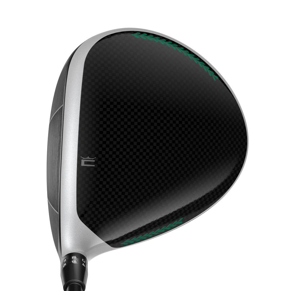 DS-ADAPT LS Season Opener Driver Top Down View