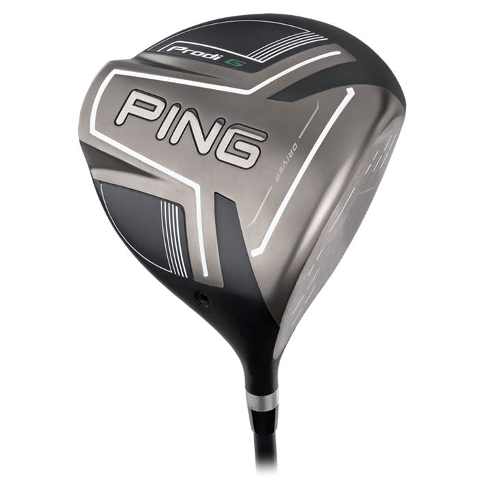 PING Prodi G Driver Main View