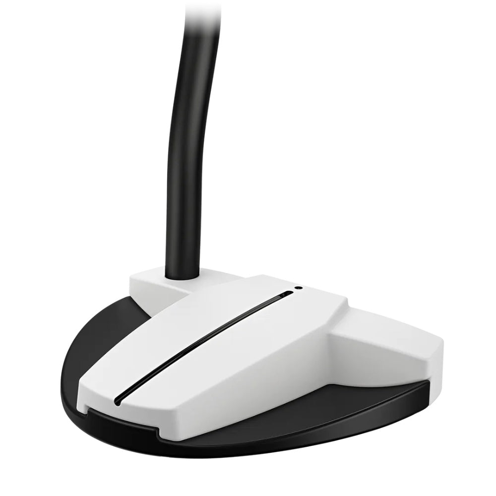 PING Scottsdale TEC Hayden Putter Back View