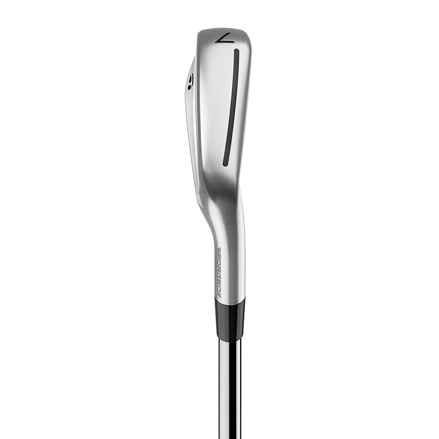 TaylorMade P∙790 Irons top view