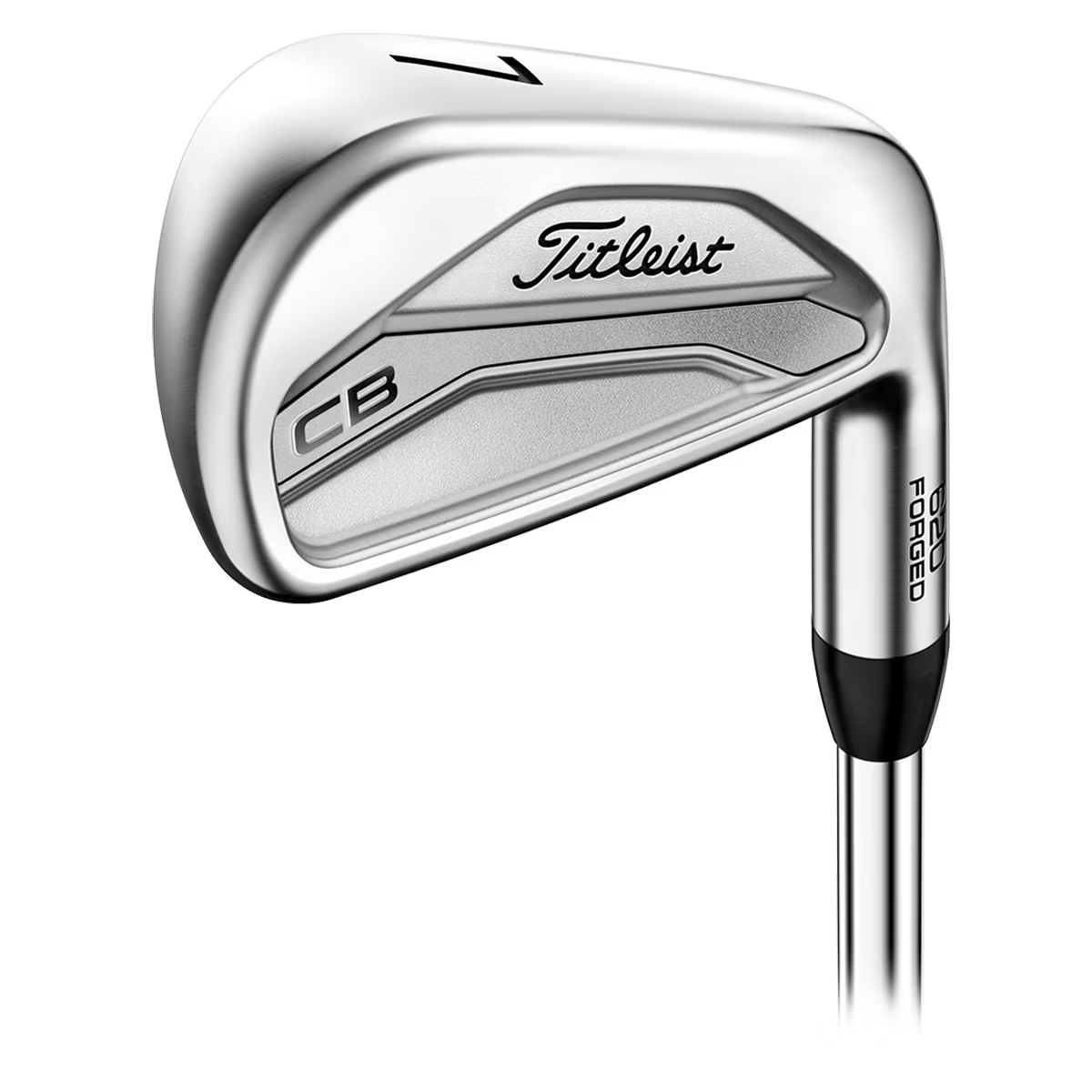 Titleist 620 CB Irons Back View