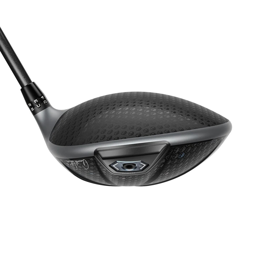 Cobra DS-ADAPT LS Arnold Palmer Driver Back View