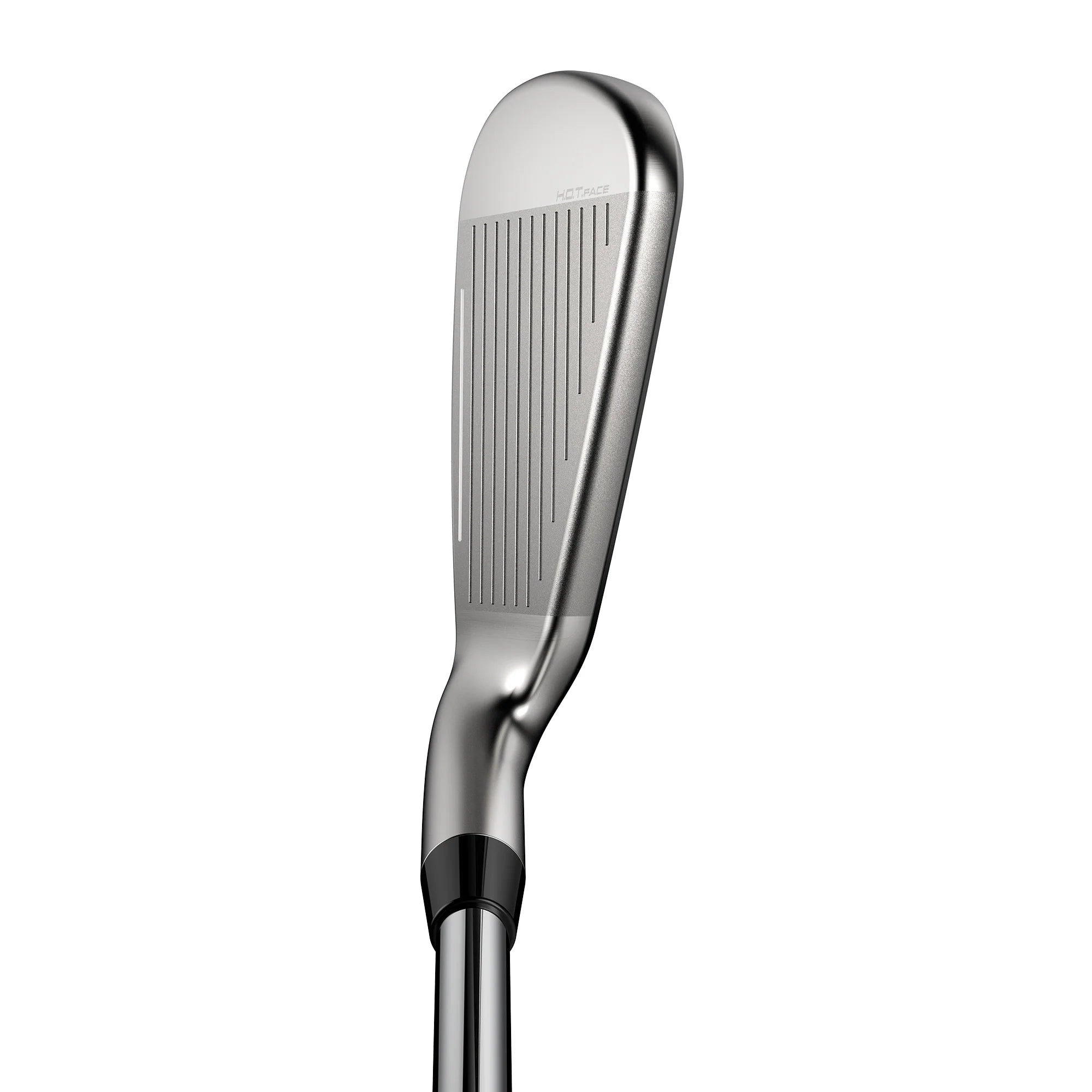 Cobra DS-Adapt Iron top down view