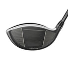 DS-ADAPT LS Season Opener Driver Face View
