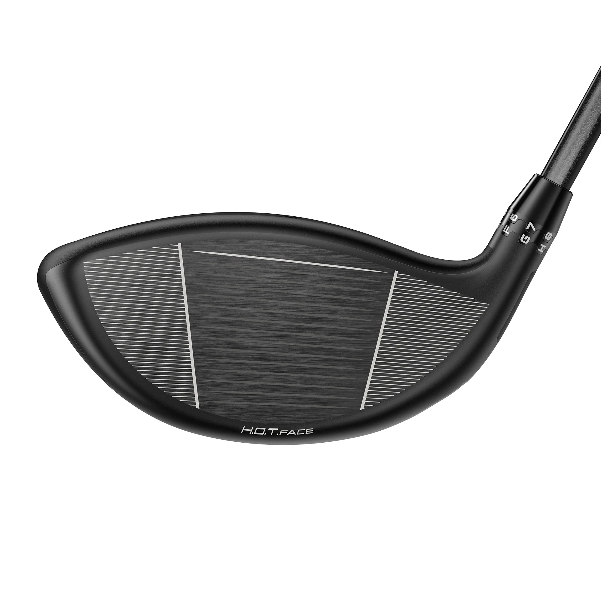 DS-ADAPT MAX-D Driver view of face