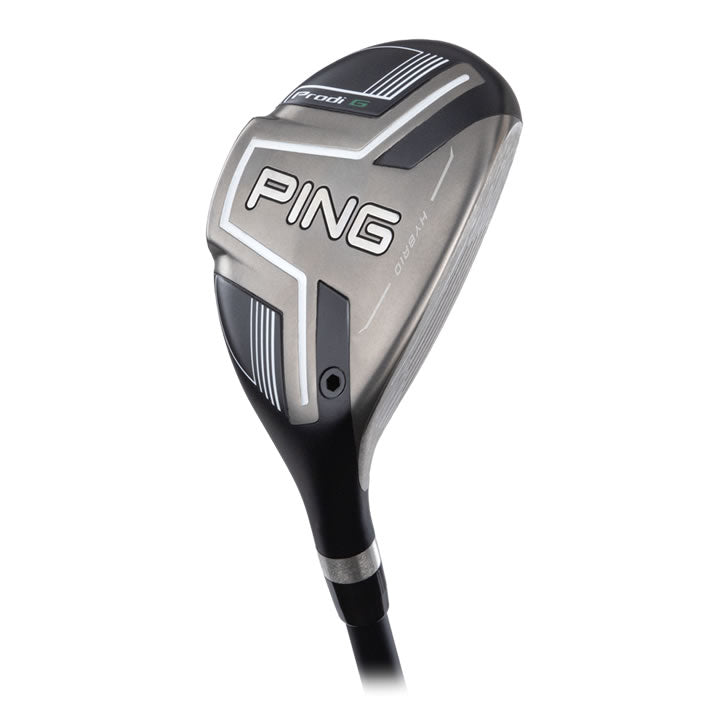 PING Prodi G Hybrid Main View